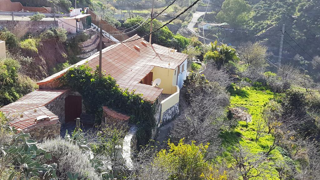 Casa Rural - Laendliches Haus, Pepita La De Las Flores Крус-де-Техеда Экстерьер фото