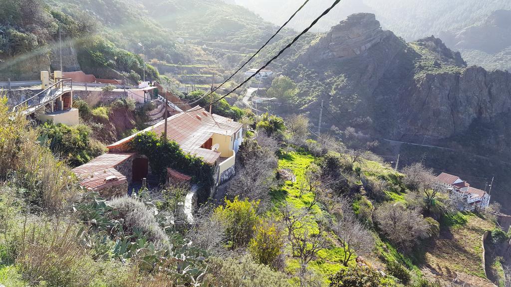 Casa Rural - Laendliches Haus, Pepita La De Las Flores Крус-де-Техеда Экстерьер фото
