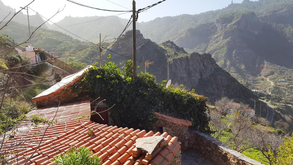 Casa Rural - Laendliches Haus, Pepita La De Las Flores Крус-де-Техеда Экстерьер фото