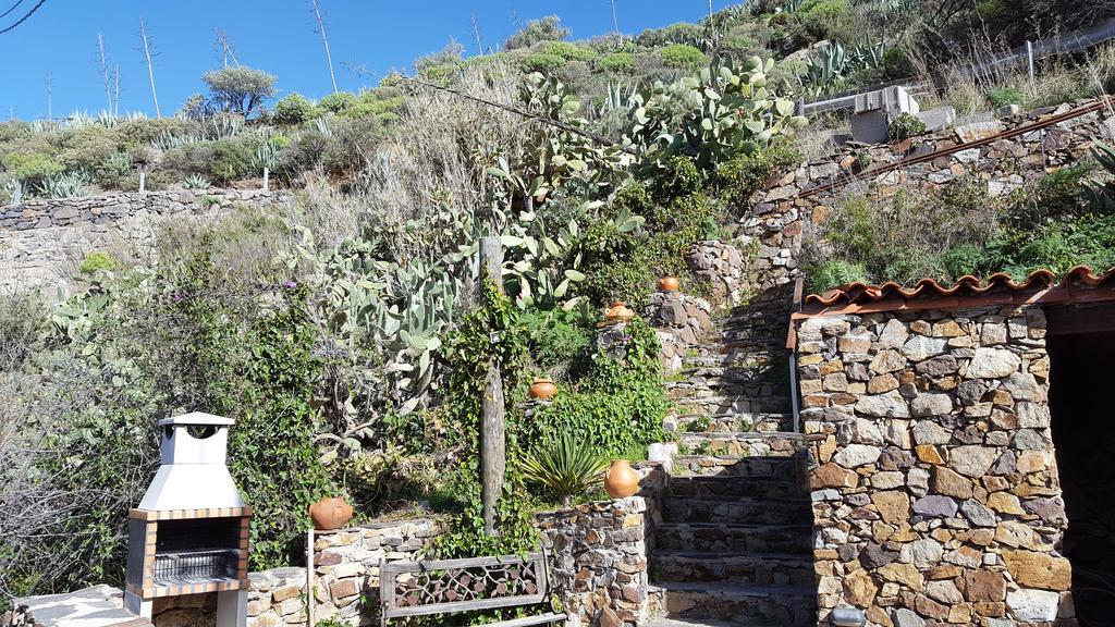Casa Rural - Laendliches Haus, Pepita La De Las Flores Крус-де-Техеда Экстерьер фото