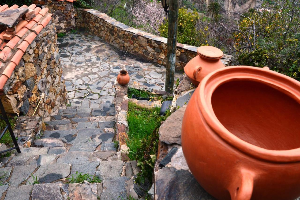 Casa Rural - Laendliches Haus, Pepita La De Las Flores Крус-де-Техеда Экстерьер фото